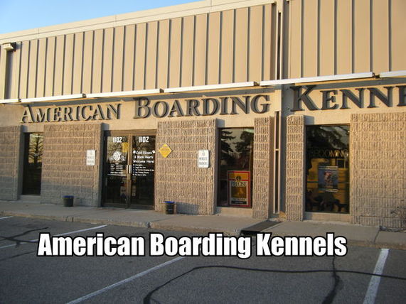 American Boarding Kennel - Burnsville, MN