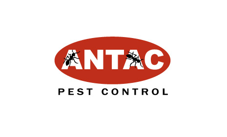 Antac Pest Control - San Diego, CA